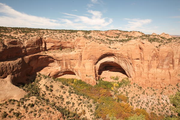 Alan's view of Navajo National Monument