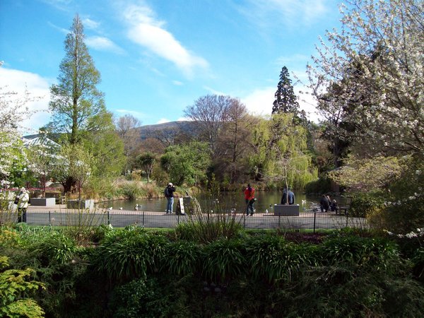 The botanic gardens