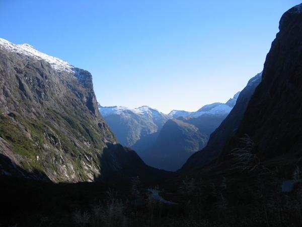 En route to Milford Sound