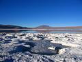 Bolivian altiplano