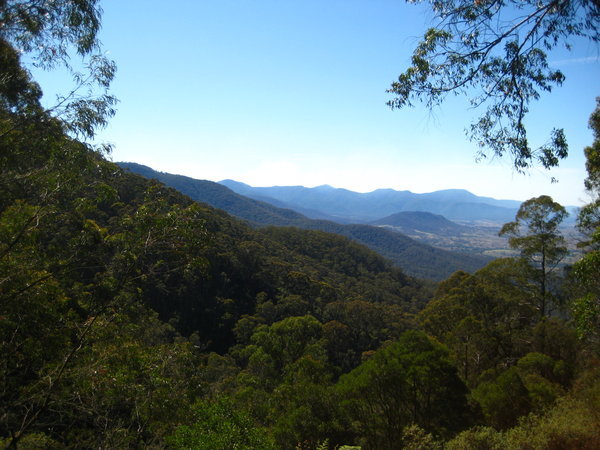 Forest, start of the Snowy Mountains Highway