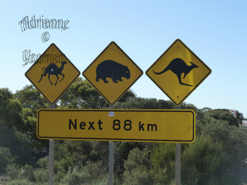 Wildlife Sign on Eyre Hwy in WA