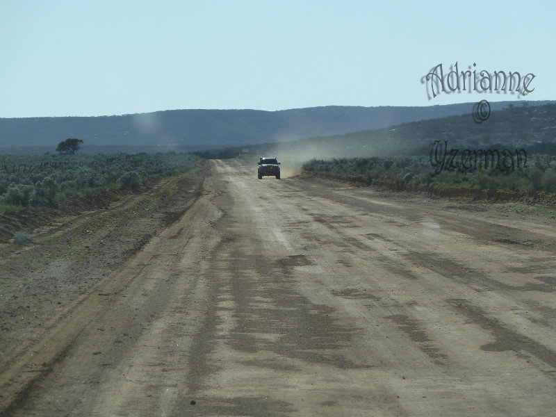 4WD Track from Eyre Hwy to Stuart Hwy