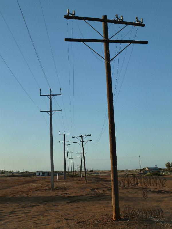 Electricity Poles at Marree