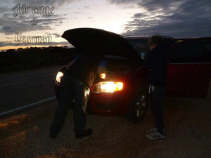 Hubby Inspects Car For Damage After Hitting Roo