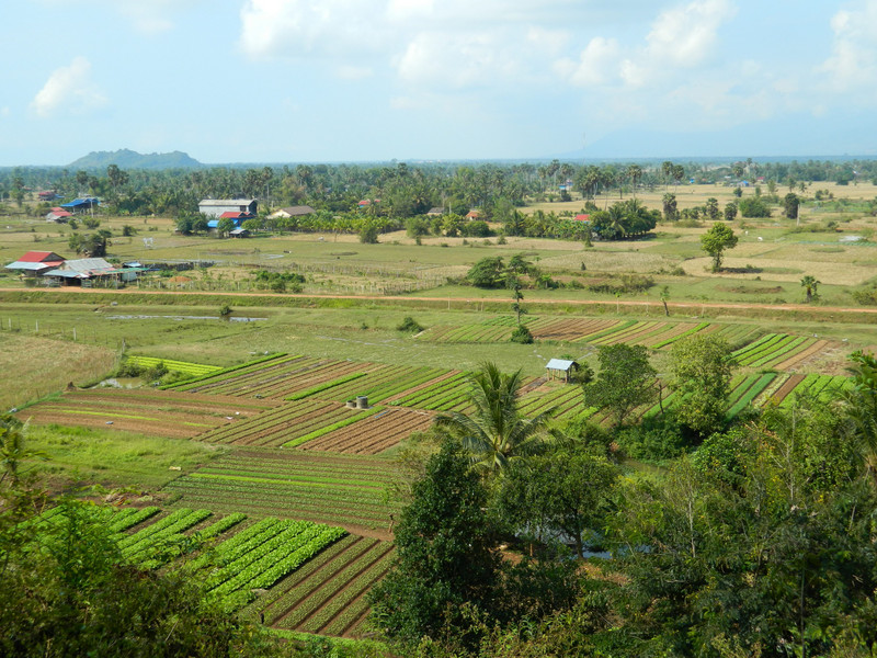 Countryside around Kampot
