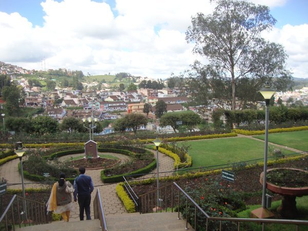 View down into the rose garden