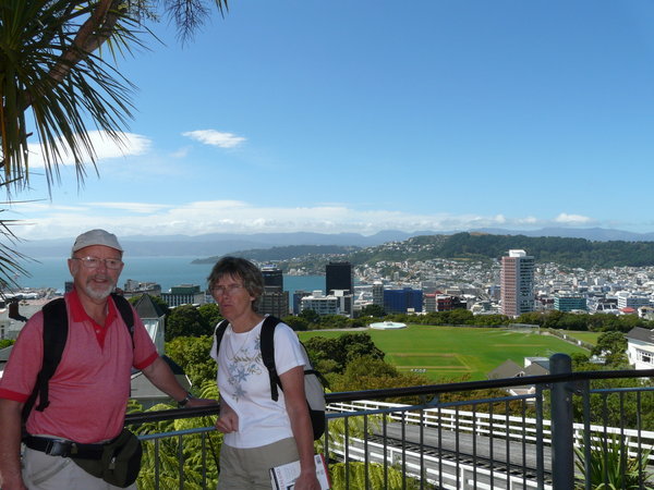 Wellington panorama