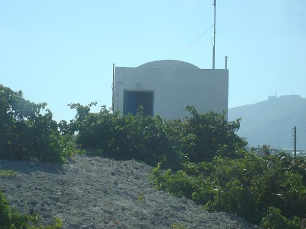 Santorini Wine Production