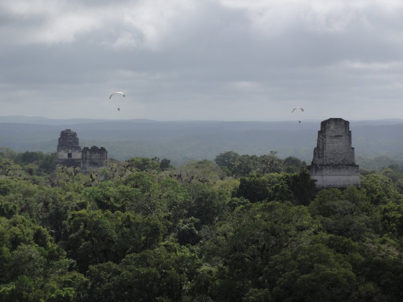 Tikal - Canopy View