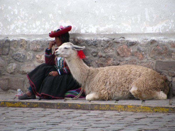 Lady and her lama