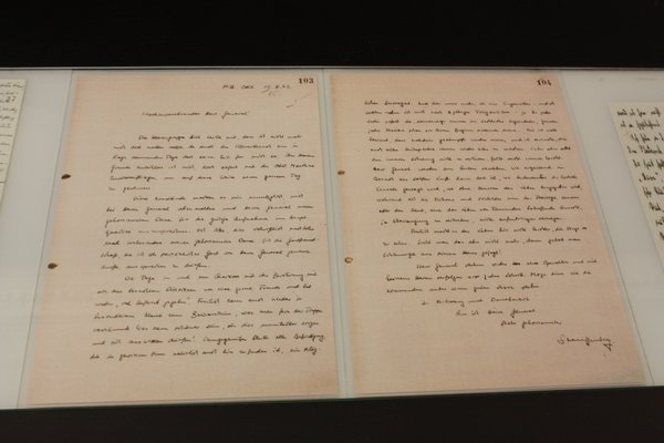 Stauffenberg's letter