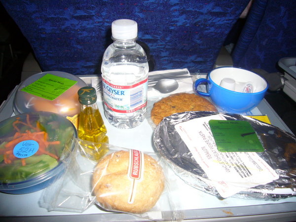 vegan meals on the plane