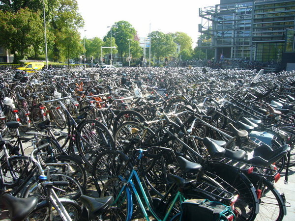 sea of bikes
