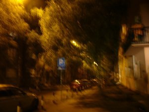 tina and lily's street at night