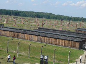 The vast view of Auschwitz II