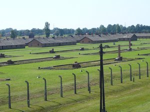 The vast view of Auschwitz II
