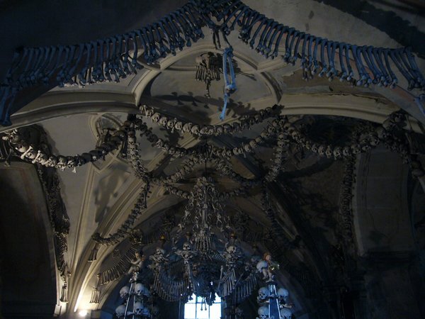 the bone chandelier