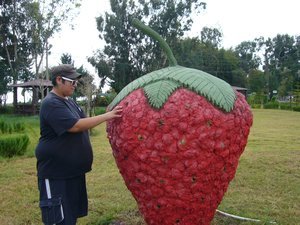 a big strawberry