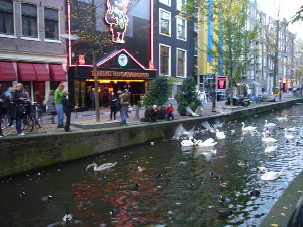 canals