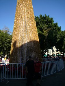 christmas tree in the zocolo
