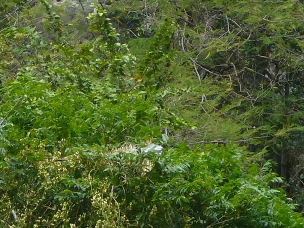 Cañón del Sumidero National Park