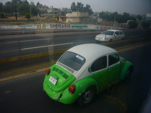 VW bugs are everywhere!