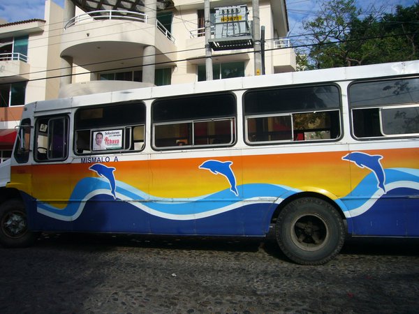 dolphin bus