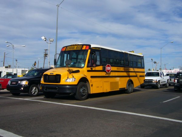 big yellow school busses