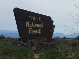 tonto national forest