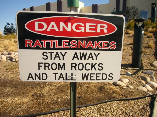 Rattlesnake Warning in TX