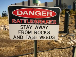 Rattlesnake Warning in TX