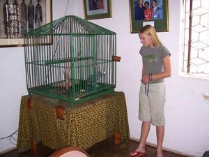 Carita and parrot at the Ethiopian Bar hotel