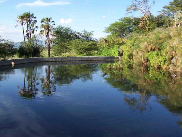 Pool view at Kisima Ngeda