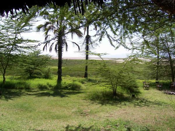 Lake Eyasi, Kisima Ngeda camp