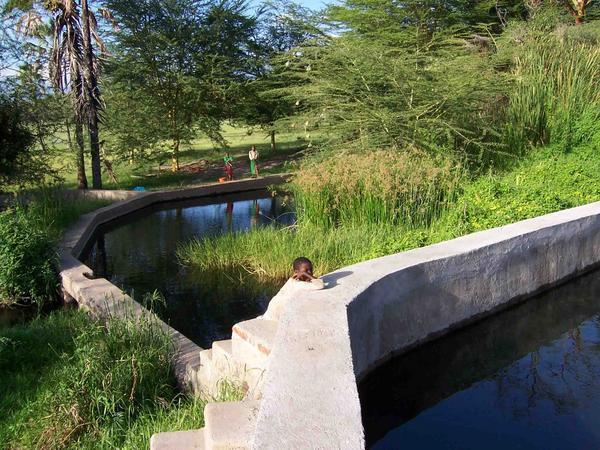 Lower fish pool at Kisima Ngeda