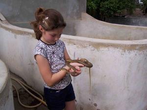 Anja with an olive grass snake