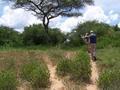 Walking in the bush