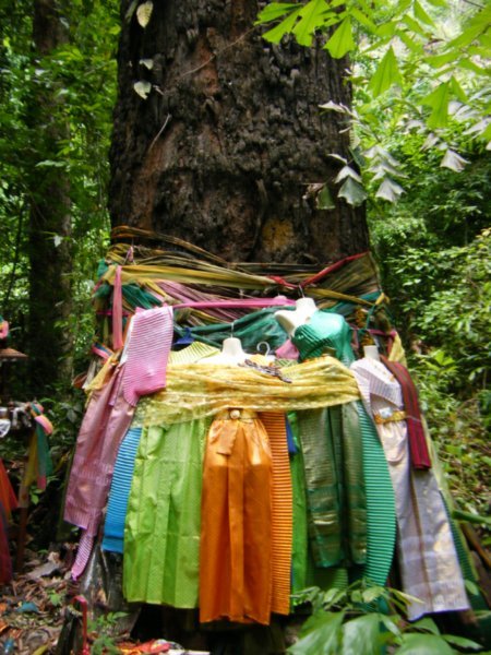 Dress offerings to a tree? Erawan National Park