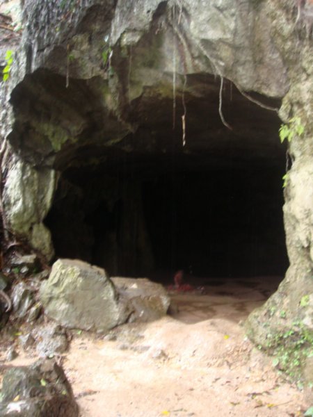 Cave (prehistoric man)