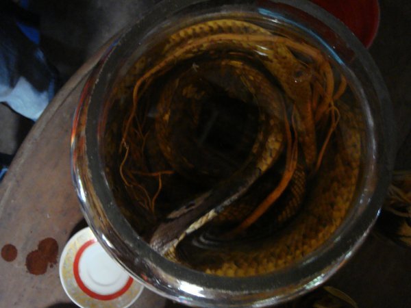 Snake whisky