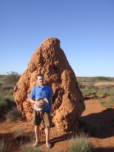 Giant termite mound