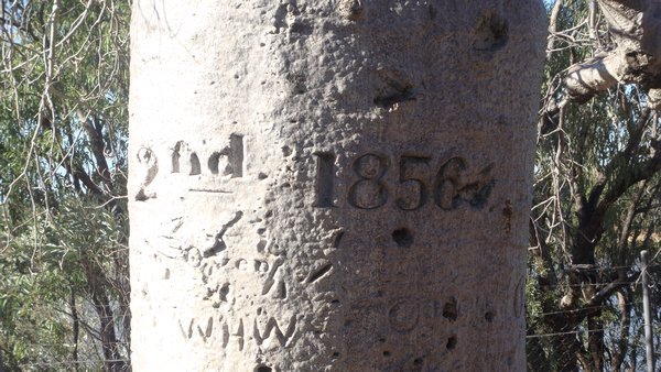 AC Gregory's inscription...
