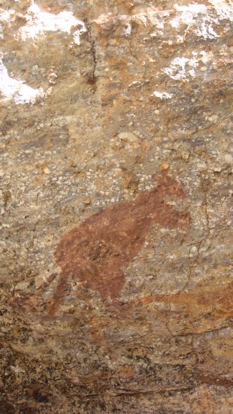 Giant kangaroos rock painting