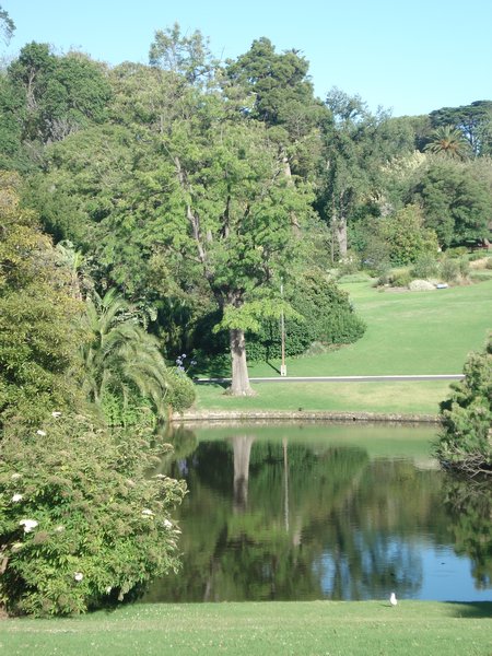 Botanical Gardens Melbourne