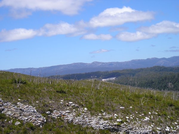 Mount Donaldson trek