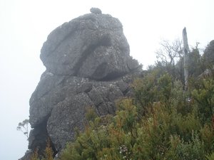 The climb up Mount Roland