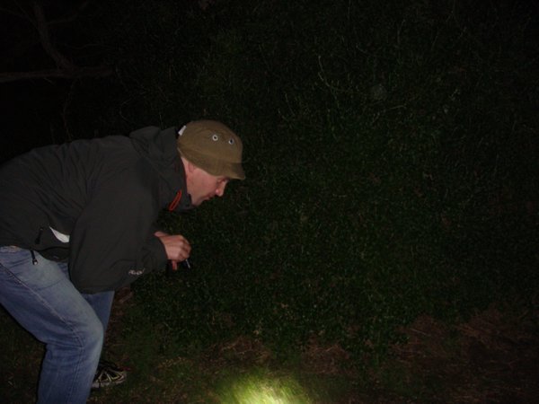 Wombat hunt