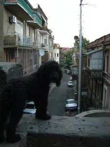 74 Tibilisi - 28 July 2010