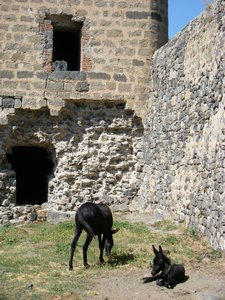 8 Khertvisi Fortress - 6 Aug 2010